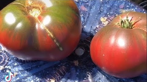 New listing: Small Flower Radionics 15 Hz Charging Plate, Ion Readings, and new 9V wall adaptor