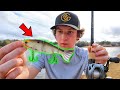 Fishing With The BRAND NEW Googan Squad Contender (The Best Swimbait?)