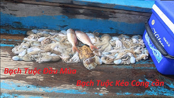 CCCC |Câu Bạch Tuộc đầu mùa.Cong cần liên tục.Octopus sentence.