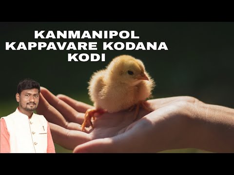 Kanmanipol kaapavarecover song