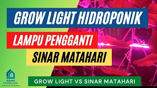 Hidroponik dinding rumah 96 lubang minim cahaya | Pembuatan & Biaya