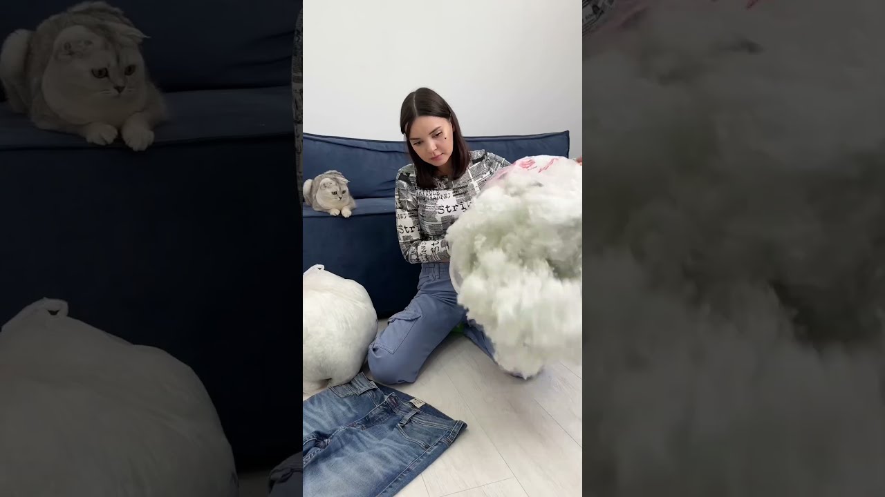 CAT BED Cats Cat