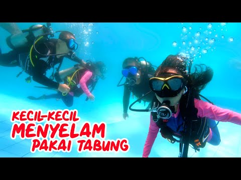 Video: Tempat Belajar Menyelam