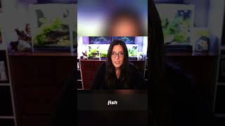 Nano Fish Care  Expert Tips for Happy Aquarium Friends @thesmallscape