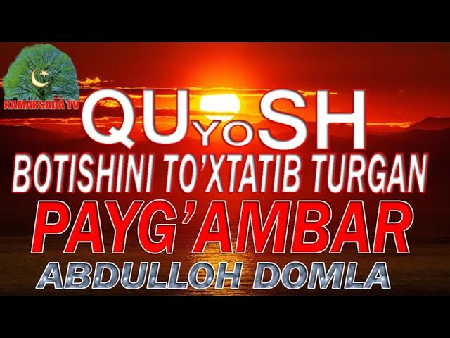 Torrent orqali kattalar porno video yuklab olish