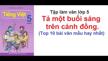 Tả cảnh một buổi sáng trên cánh đồng - 10 bài văn hay nhất - Tập làm văn 5