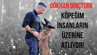 Köpekler İnsanların Üzerine Neden Atlar?