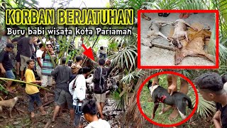 Tragisserangan Balik Babi Hutan Gugurkan Tiga Ekor Anjing Pemburu Buru Babi Wisata Kota Pariaman