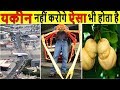 20 ऐसी चीज़ें जो आपको पता ही नहीं था होती भी है 20 Unbelievable things You Didn’t Know Exist