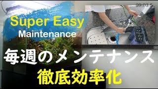 毎週の水槽メンテナンス 徹底効率化【バケツを使わない水換え】