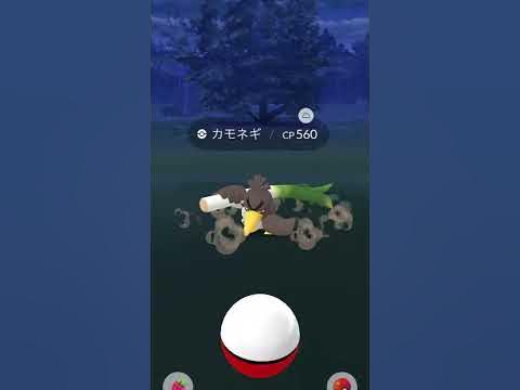 ポケモンgo ガラルのすがた カモネギ ネギガナイト 鎧の孤島 シールド ソード 新作 期間限定 鳴き声 Youtube