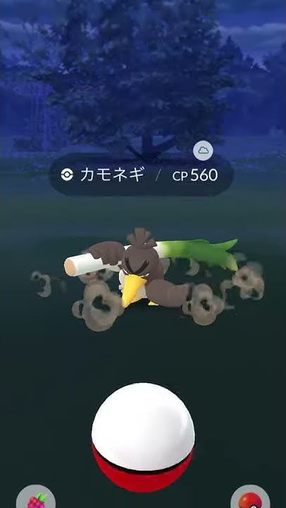 ポケモンgo ガラルのすがた カモネギ ネギガナイト 鎧の孤島 シールド ソード 新作 期間限定 鳴き声 Youtube