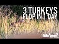 Turkey Gobbles 100 Times!!! - Spring Turkey Hunt in Kansas 2017  S8 #11