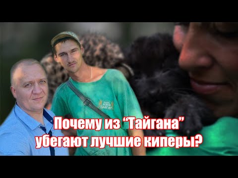 Рабство в парке львов "Тайган" Олега Зубкова / почему уходят киперы