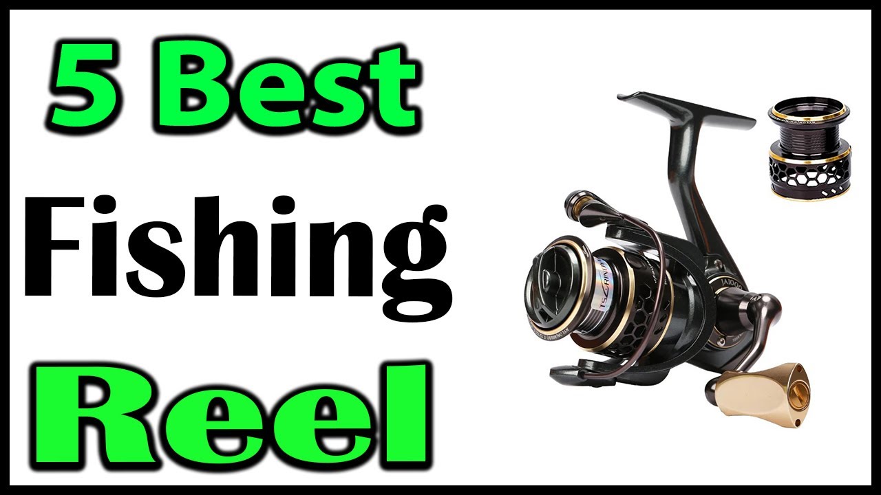 TOP 5 Best Spinning Fishing Reel 2025 - YouTube