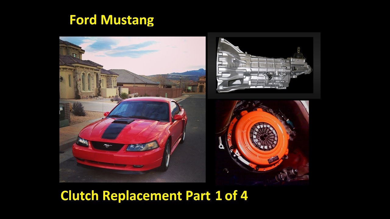 Mazda 3 Service Manual: Pilot Bearing Inspection G35 M R Mazda 3 Service Manual: Pilot Bearing Inspection G35 M R