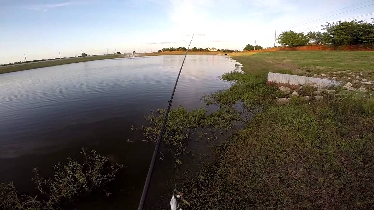 Bass fishing Booyah Pond Magic 