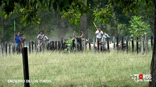 ENCIERRO Y EMBARQUE DE LOS TOROS