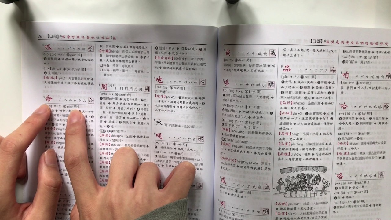 #49 | Using a paper Chinese dictionary (Part 3)