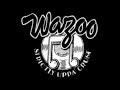 Record Stores Across America | Wazoo Records | Ann Arbor Michigan