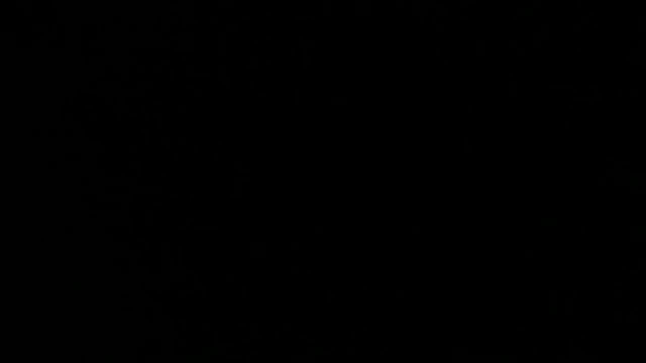 Parody Of The Christmas Duck Song YouTube parody-of-the-christmas-duck-song-youtube