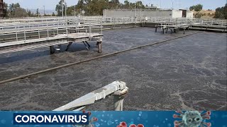 Here's how COVID is detected in wastewater
