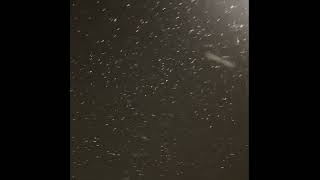 Kynareth’s Wish and Snowfall