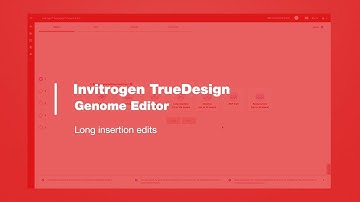 Invitrogen TrueDesign Genome Editor: Long insertion edits