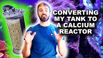 Converting my Reef Tank to a Calcium Reactor!