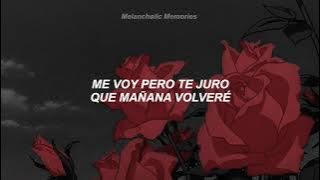 Nino Bravo - Un Beso Y Una Flor (Letra)