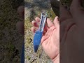 Kabar wrench handle knife #edc #edcorganizer #edcknife #knifecommunity #blade #bushcraft#fixedblade