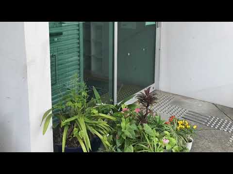 ドクターマップ 原町田診療所 町田市原町田