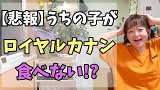 【獣医のおすすめ】ロイヤルカナン・ヒルズって実際どうなの？