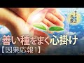 悪いことばかり続くのはなぜ？《因果応報1》良い結果を得るためには【なごやか仏教17】