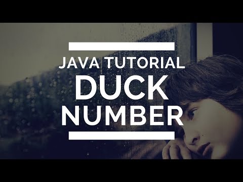 JAVA program on Duck Number [TUTORIAL]