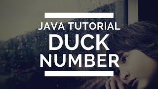 JAVA program on Duck Number [TUTORIAL]