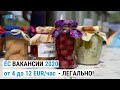 Актуальные вакансии в ЕС от 4 до 12 евро в час | Июль - Август 2020 года