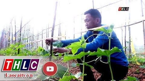Quyết tâm hoàn thành mục tiêu Huyện nông thôn mới đầu tiên của tỉnh| THLC