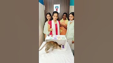 Who Will Match The Snacks Challenge Game & Win Money #shorts #short #games #gameplay #viralvideo