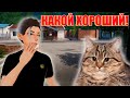 ПРИЮТИЛ КИСИКА И УХАЖИВАЮ ЗА НИМ! / Animal Shelter