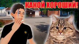 ПРИЮТИЛ КИСИКА И УХАЖИВАЮ ЗА НИМ! / Animal Shelter