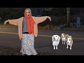 Serbian Dancing Lady REVEALED by Funny Dogs Maymo, Potpie &amp; Indie