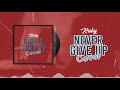 Ruby - Never Give Up COVER