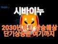 시바이누전망 [대응전략] 단기매매는 이렇게.