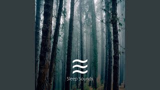 Pleasant Soft Ocean Sounds screenshot 5