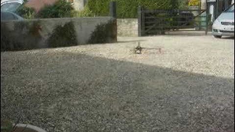 Belt CP Second Practice