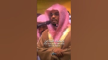 وتولى عنهم وقال ياأسفى على يوسف وابيضت عيناه من الحزن فهو كظيم | الآية 84 من سورة يوسف#ياسر_الدوسري