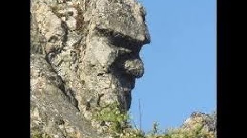 A WORLD OF MUDFOSSILS