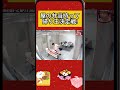 屋の弁当持って帰り王決定戦! #浜田雅功 #shorts #お笑い#面白い動画#リアクション#fyp