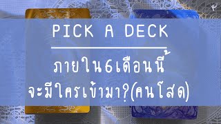 PICK A DECK📢 : ภายใน6เดือนนี้ จะมีใครเข้ามา?(คนโสด) | RoliYouTarot🐰🌅